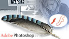 Photoshop & Flash